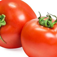 fresh-red-tomato